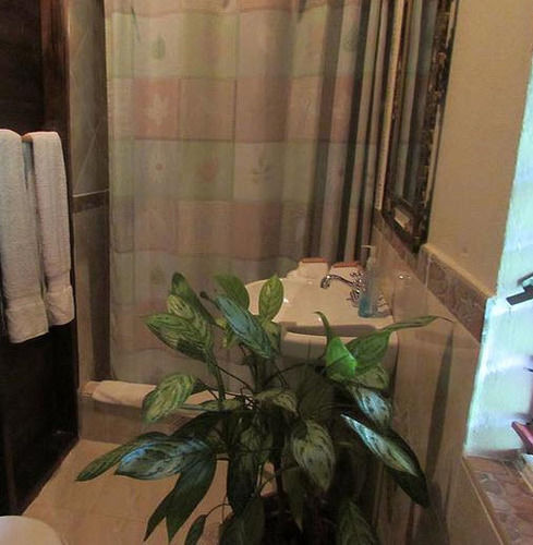 Rafjam Bed & Breakfast Newcastle Dış mekan fotoğraf