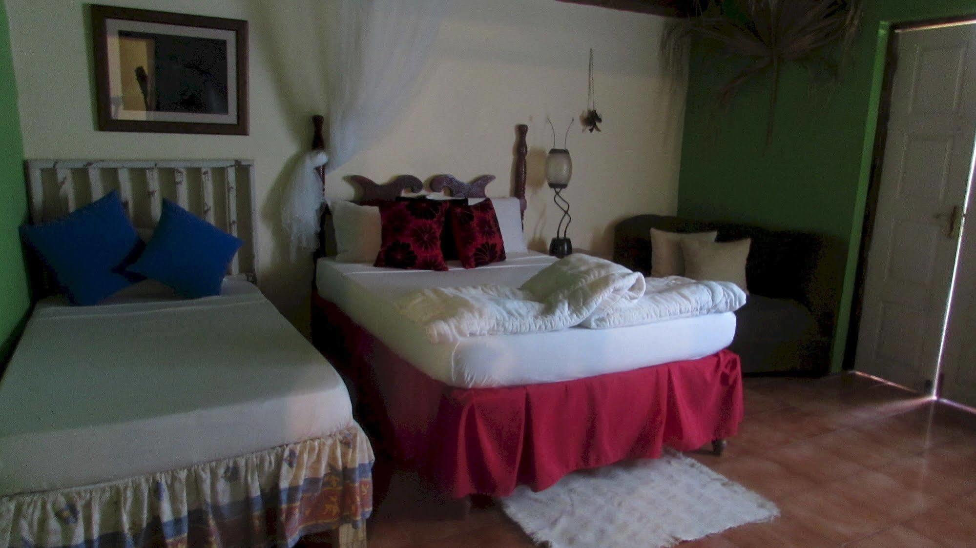 Rafjam Bed & Breakfast Newcastle Dış mekan fotoğraf